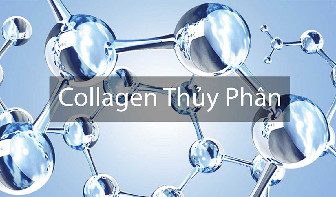 Collagen thủy phân có hiệu quả hấp thu lớn hơn gấp 7 lần so với các loại collagen thông thường